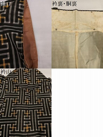 平和屋着物●本場大島紬　龍郷絣　秋名バラ　正絹　逸品　AABI7362ph