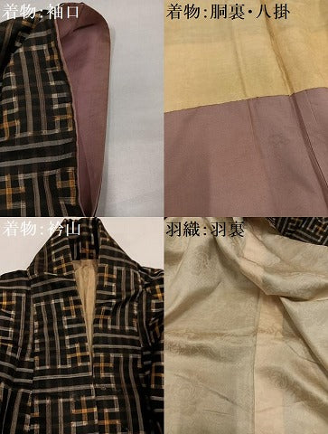 平和屋着物●本場大島紬　龍郷絣　秋名バラ　アンサンブル　正絹　逸品　AABI7367ph