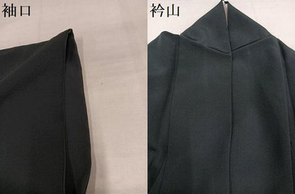 平和屋着物●染色作家　草野一騎　訪問着　枝花文　暈し染め　正絹　逸品　AABI7369ph