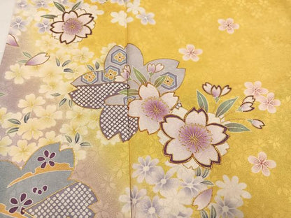 平和屋着物●豪華振袖　駒刺繍　舞花文　暈し染め　金彩　正絹　逸品　AABI7420ph