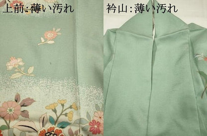 平和屋着物■訪問着　枝花文　金彩　正絹　逸品　AABI7483br