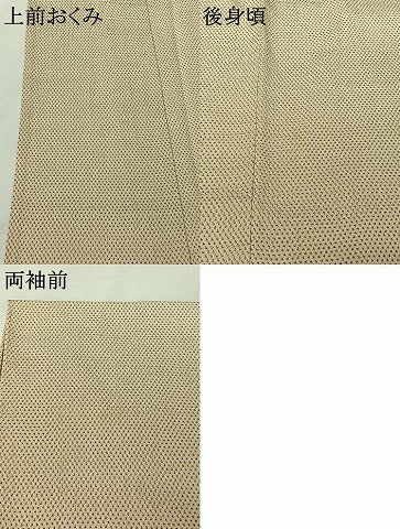 平和屋着物▽本塩沢　単衣　蚊絣　鈴乃屋扱い　証紙付き　正絹　逸品　AABI7618jh