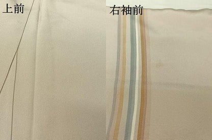 平和屋着物▽日本舞踊家 岩井流宗元　岩井友見　小紋　単衣　縞　正絹　逸品　AABI7698jh