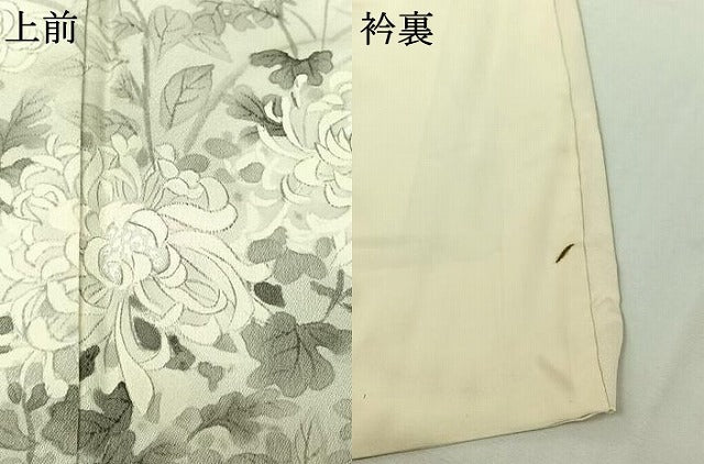 平和屋着物▽訪問着　単衣　手描き　草花文　菊　正絹　逸品　AABI7753jh