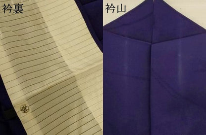 平和屋着物＊夏物　色無地　舞花紋紗　鉄紺色　正絹　逸品　AABI7767jd