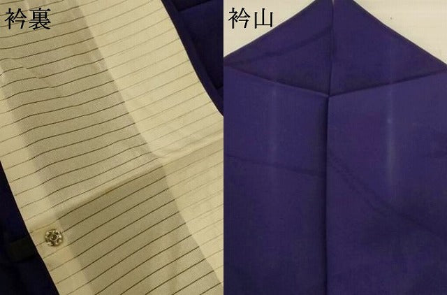 平和屋着物＊夏物　色無地　舞花紋紗　鉄紺色　正絹　逸品　AABI7767jd