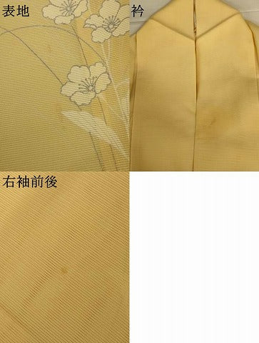 平和屋着物＊夏物　訪問着　絽　草花文　銀彩　正絹　逸品　AABI7770jd