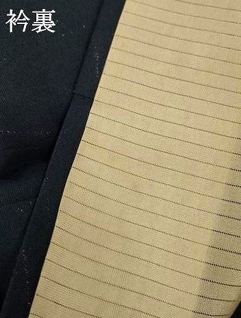 平和屋着物＊夏物　小紋　紗　杢目文　銀通し地　正絹　逸品　AABI7772jd
