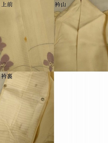 平和屋着物＊夏物　訪問着　絽　手描き　草花文　正絹　逸品　AABI7784jd