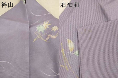 平和屋着物＊夏物　小紋　絽　草花文　洗える着物　AABI7786jd