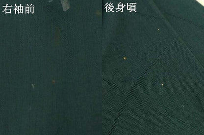 平和屋着物＊夏物　小紋　紗　草花文　AABI7798jd