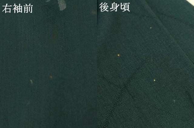 平和屋着物＊夏物　小紋　紗　草花文　AABI7798jd