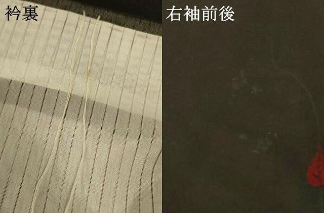 平和屋着物＊夏物　小紋　紗　蔦の葉文　正絹　逸品　AABI7814jd