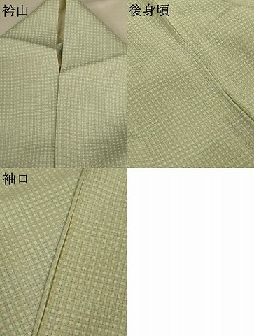 平和屋着物＊夏物　小紋　絽縮緬　格子　正絹　逸品　AABI7821jd