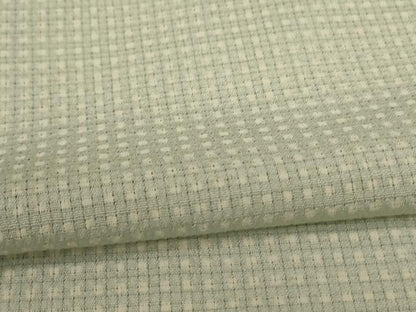 平和屋着物＊夏物　小紋　絽縮緬　格子　正絹　逸品　AABI7821jd