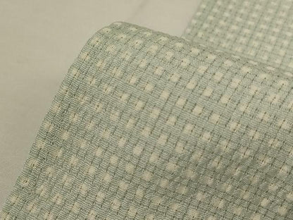 平和屋着物＊夏物　小紋　絽縮緬　格子　正絹　逸品　AABI7821jd