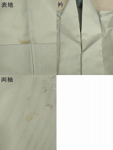 平和屋着物＊夏物　訪問着　絽　花鳥文　暈し染め　洗える着物　AABI7851jd