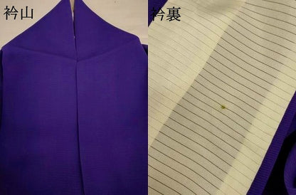 平和屋着物＊夏物　訪問着　絽　手描き　草花文　正絹　逸品　AABI7862jd