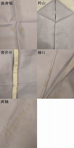 平和屋着物＊夏物　訪問着　絽　手描き　風景文　洗える着物　AABI7908jd