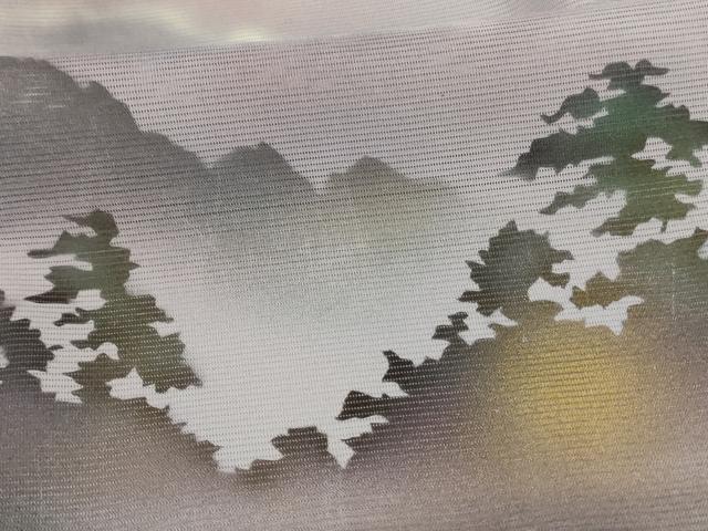 平和屋着物＊夏物　訪問着　絽　手描き　風景文　洗える着物　AABI7908jd