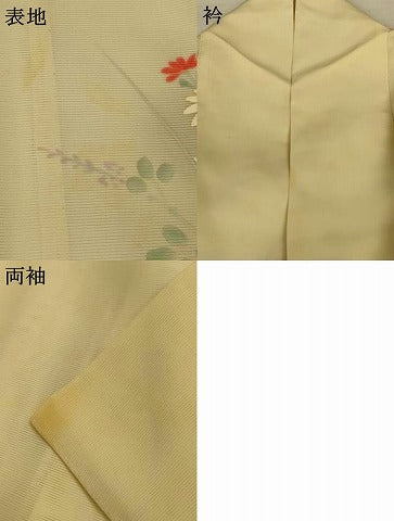 平和屋着物＊夏物　訪問着　絽　手描き　草花文　暈し染め　正絹　逸品　AABI7917jd