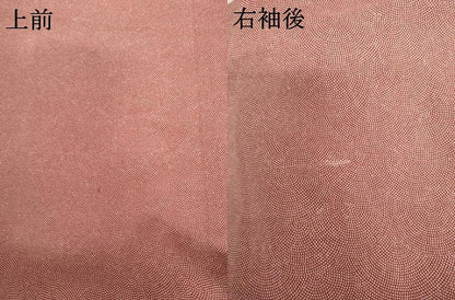 平和屋着物▽江戸小紋　単衣　鮫小紋柄　正絹　逸品　AABI8058cs