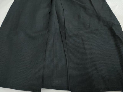 平和屋着物＊夏物　男性　行灯袴　縞　黒地　正絹　逸品　AABI8106cs