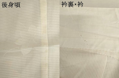平和屋着物＊夏物　長襦袢　絽　舞花地紋　正絹　逸品　AABI8110cs
