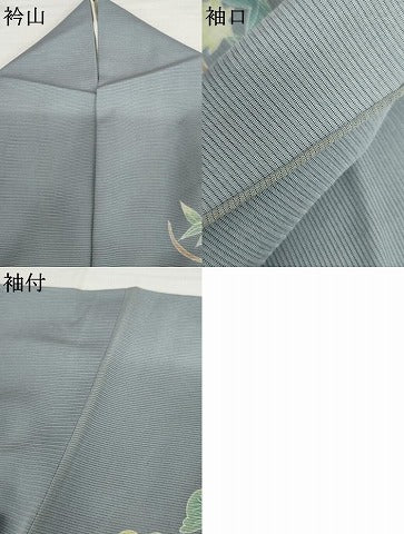 平和屋着物＊夏物　訪問着　絽　友禅　作家物　隆男　飛鳥松文　正絹　逸品　AABI8128cs