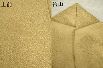 平和屋着物●伝統工芸師　服部光擴　江戸小紋　堅牢草木染　鮫小紋柄　反端付き　正絹　逸品　AABI8208ck