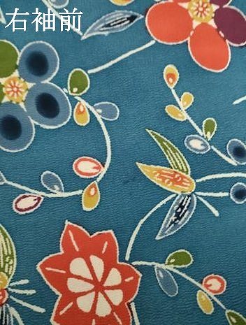 平和屋着物●上質な小紋　紅型　花蔦草文　鬼しぼ縮緬　ロング丈　正絹　逸品　AABI8233ck