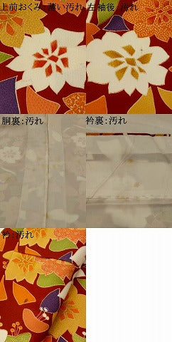平和屋着物■小紋　枝花文　洗える着物　AABI8265st
