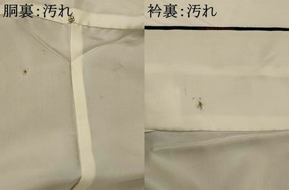 平和屋着物■上質な紬　枝花文　黒地　正絹　逸品　AABI8272st