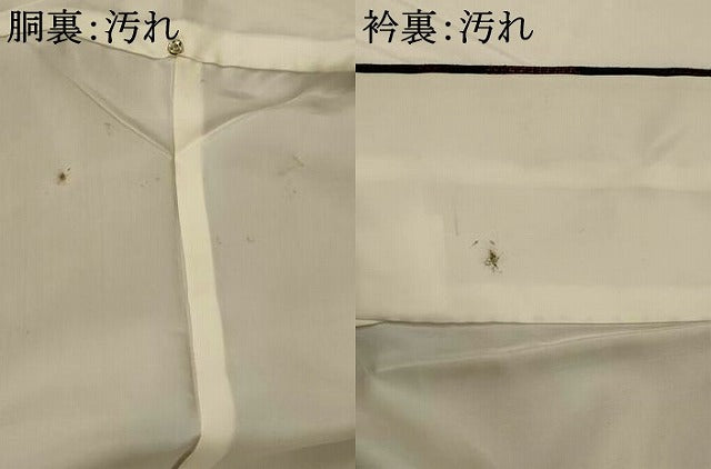 平和屋着物■上質な紬　枝花文　黒地　正絹　逸品　AABI8272st
