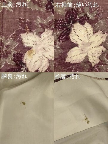平和屋着物■上質な紬　草花文　正絹　逸品　AABI8276st