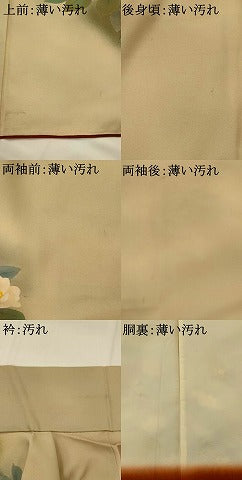 平和屋着物■訪問着　手描き　草花文　暈し染め　正絹　逸品　AABI8282st