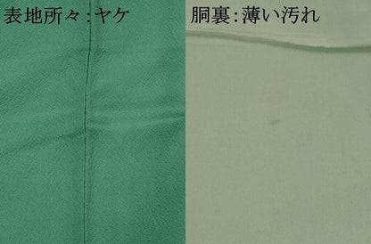 平和屋着物■上質な色無地　紋意匠　青竹色　正絹　逸品　AABI8284st