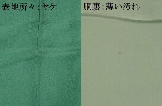 平和屋着物■上質な色無地　紋意匠　青竹色　正絹　逸品　AABI8284st