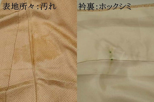 平和屋着物■訪問着　駒刺繍　松皮菱花文　金銀糸　正絹　逸品　AABI8327st