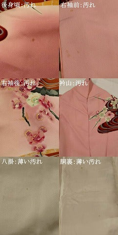 平和屋着物■豪華振袖　流水花鳥文　暈し染め　金彩　正絹　逸品　AABI8332st