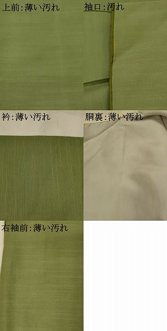 平和屋着物■上質な紬　色無地　鶸茶色　正絹　逸品　AABI8352st