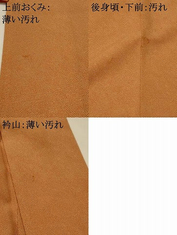 平和屋着物■江戸小紋　鮫小紋柄　正絹　逸品　AABI8354st
