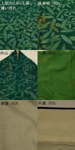 平和屋着物■訪問着　南天文　正絹　逸品　AABI8380st