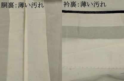 平和屋着物■上質な紬　雲取り文様　正絹　逸品　AABI8403st