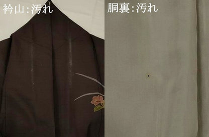 平和屋着物■訪問着　紬地　草花文　正絹　逸品　AABI8404st