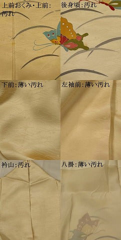 平和屋着物■訪問着　舞蝶文　金彩　正絹　逸品　AABI8422st