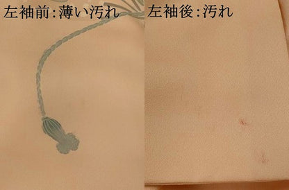 平和屋着物■訪問着　扇花車文　正絹　逸品　AABI8424st