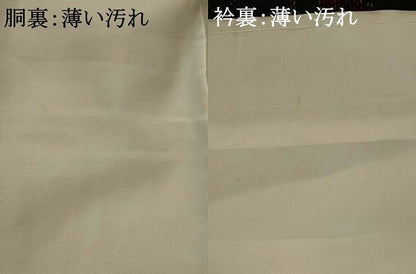平和屋着物■本場大島紬　遠山文　正絹　逸品　AABI8444st