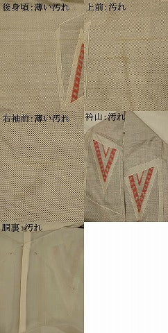 平和屋着物■本場大島紬　白大島　幾何学文様　150亀甲　正絹　逸品　AABI8449st