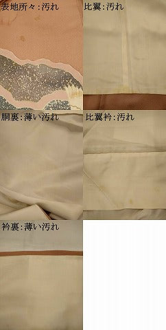 平和屋着物■豪華色留袖　刺繍　飛鶴文　金彩　正絹　逸品　AABI8462st